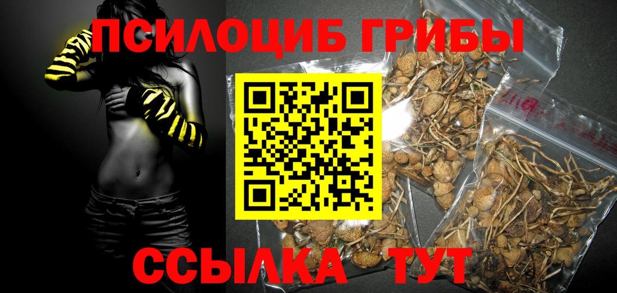 Псилоцибиновые грибы MAGIC MUSHROOMS  как найти наркотики  Старый Оскол  Вход с VPN 